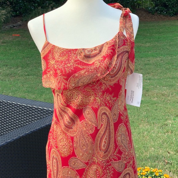 NWT Paisley Midi Dress from Alyn Paige New York - Picture 2 of 8